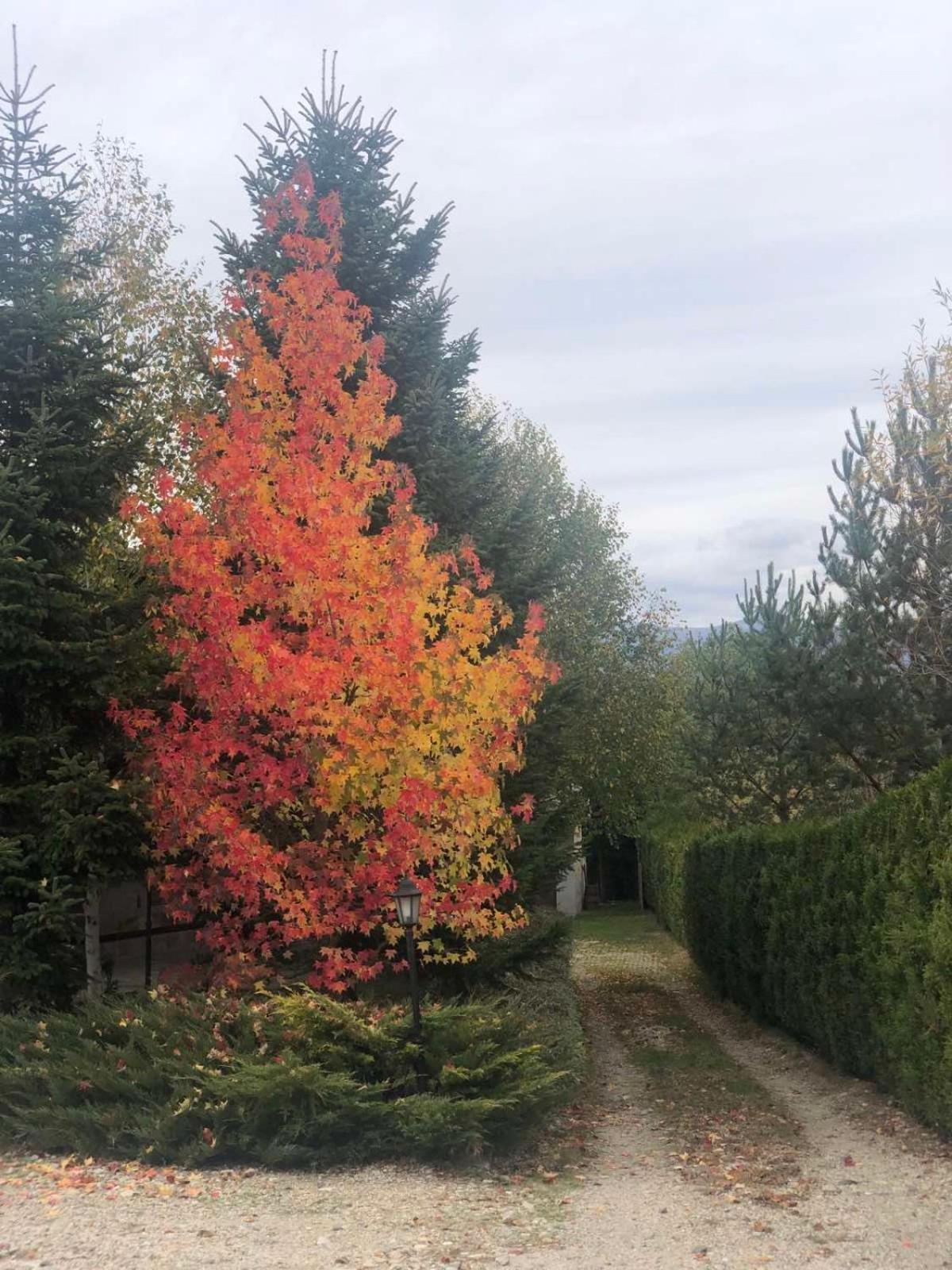 Kameno Villa Banja Exteriör bild